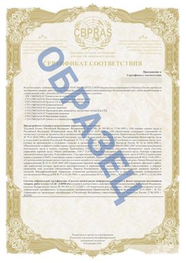 Образец Приложение к СТО 01.064.00220722.2-2020 Юбилейный Сертификат СТО 01.064.00220722.2-2020 